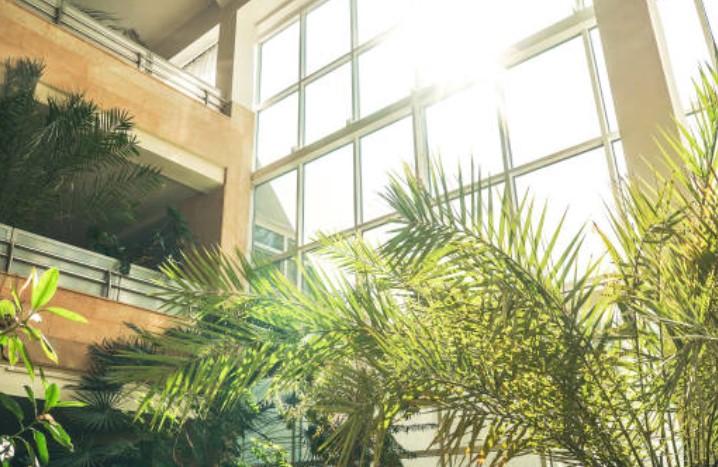 biophilic design