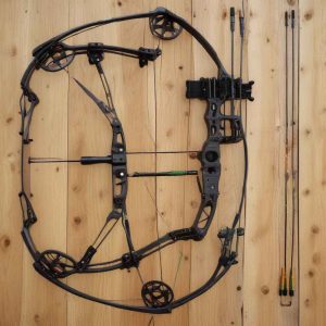 compound bow example